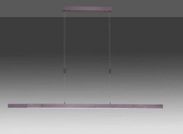 Paul Neuhaus 2568-24 - Lampadario a sospensione con filo LED dimmerabile ADRIANA LED/14W/230V