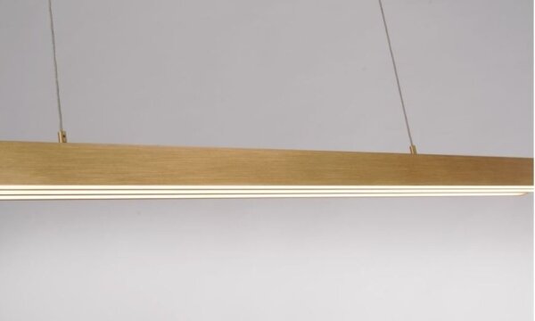 Paul Neuhaus 2568-60 - Lampadario a sospensione con filo LED dimmerabile ADRIANA LED/14W/230V ottone