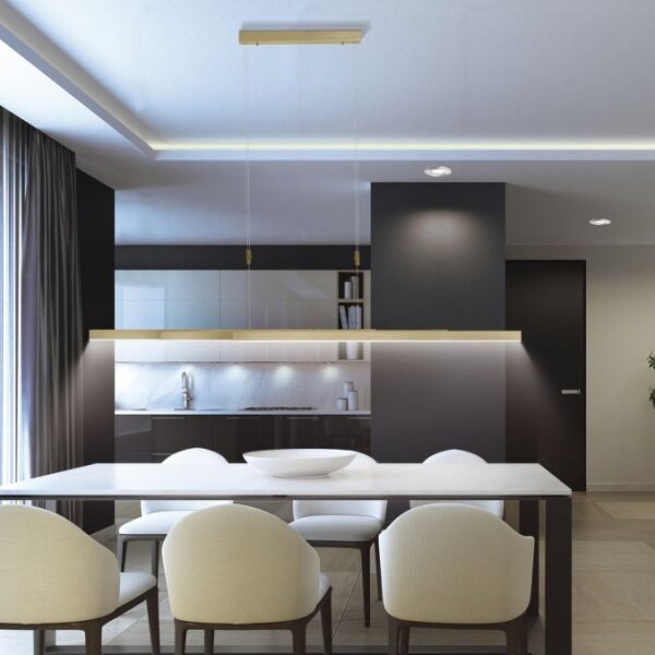 Paul Neuhaus 2568-60 - Lampadario a sospensione con filo LED dimmerabile ADRIANA LED/14W/230V ottone