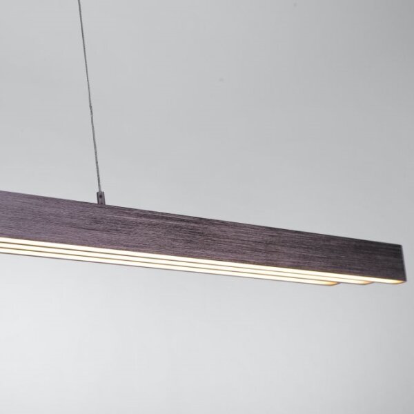 Paul Neuhaus 2568-24 - Lampadario a sospensione con filo LED dimmerabile ADRIANA LED/14W/230V
