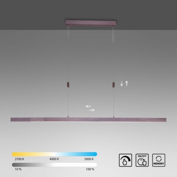 Paul Neuhaus 2568-24 - Lampadario a sospensione con filo LED dimmerabile ADRIANA LED/14W/230V