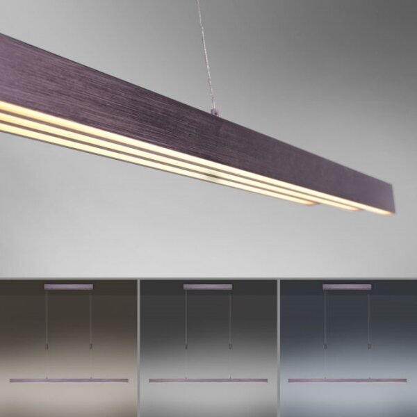 Paul Neuhaus 2568-24 - Lampadario a sospensione con filo LED dimmerabile ADRIANA LED/14W/230V