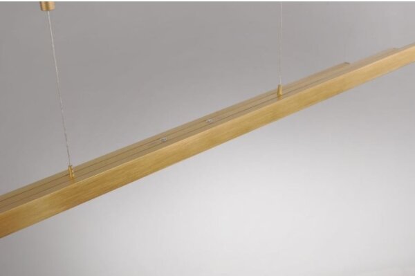 Paul Neuhaus 2568-60 - Lampadario a sospensione con filo LED dimmerabile ADRIANA LED/14W/230V ottone