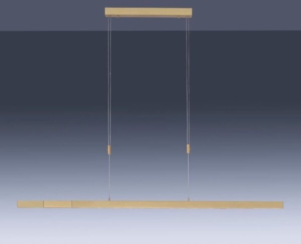 Paul Neuhaus 2568-60 - Lampadario a sospensione con filo LED dimmerabile ADRIANA LED/14W/230V ottone