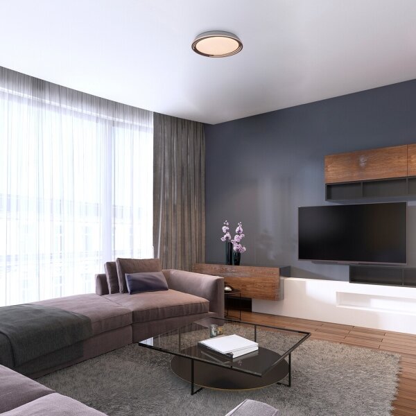 Rabalux - Plafoniera LED dimmerabile/36W/230V