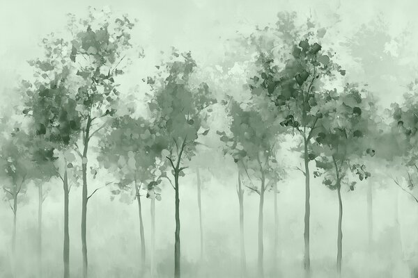 Carta da parati Gruppo di alberi nella nebbia, Carta da parati Natura, Carta da parati popolare, w03576v1 - Tapeko.it