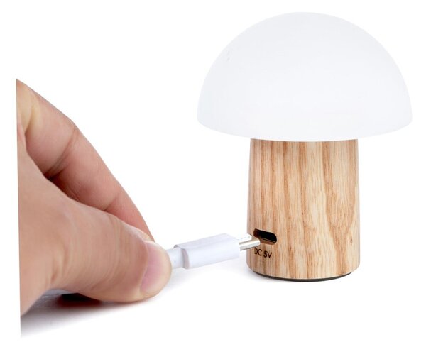Lampada da tavolo con intensità regolabile di colore naturale in frassino massiccio (altezza totale 7 cm) Alice – Gingko
