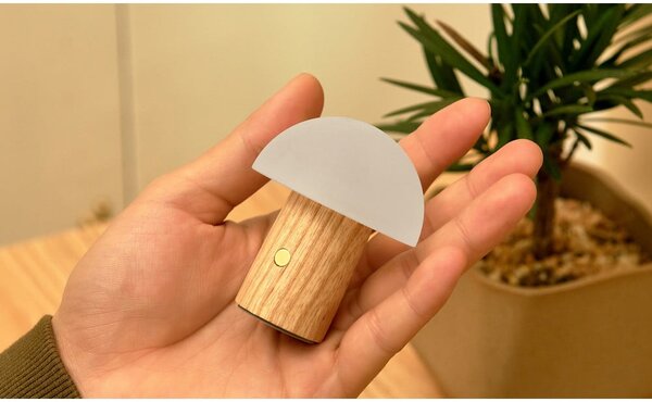 Lampada da tavolo con intensità regolabile di colore naturale in frassino massiccio (altezza totale 7 cm) Alice – Gingko