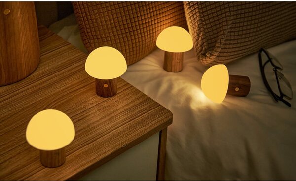 Lampada da tavolo con intensità regolabile di colore naturale in frassino massiccio (altezza totale 7 cm) Alice – Gingko