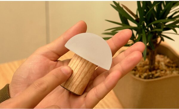 Lampada da tavolo con intensità regolabile di colore naturale in frassino massiccio (altezza totale 7 cm) Alice – Gingko