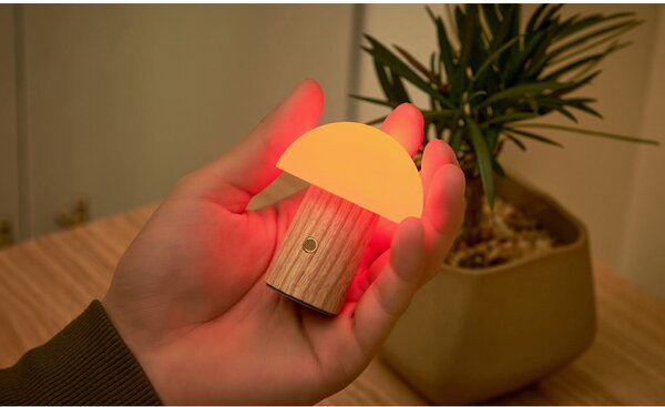 Lampada da tavolo con intensità regolabile di colore naturale in frassino massiccio (altezza totale 7 cm) Alice – Gingko