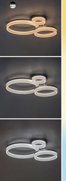 Rabalux 71385 - Plafoniera LED AMILIA LED/24W/230V 3000/4000/6500K nero