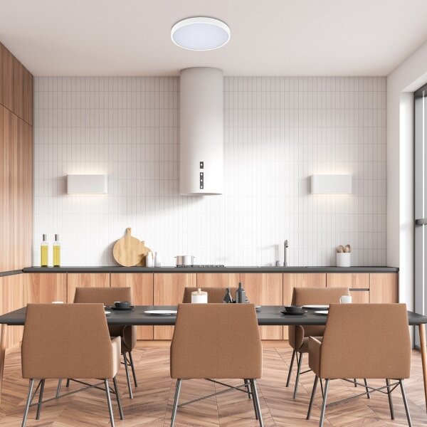 Rabalux 71428-Plafoniera LED dimmerabile da bagno ALENZO LED/24W/230V IP44 bianco + +TC