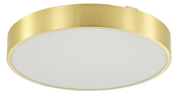Zuma Line MS724-R500-GD - Luce LED dimmerabile NADI LED/50W/230V diametro 50 cm gold+RC