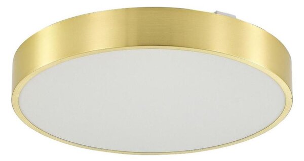 Zuma Line MS724-R400-GD - Luce LED dimmerabile NADI LED/36W/230V diametro 40 cm gold+RC