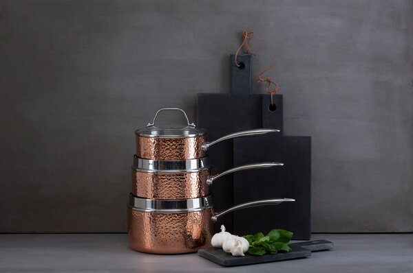 Pentola in acciaio inox con coperchio 1,55 l Minerva - Premier Housewares