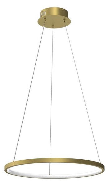 Lampadario LED a sospensione con filo HOOP LED/27W/230V diametro 50 cm 4000K oro