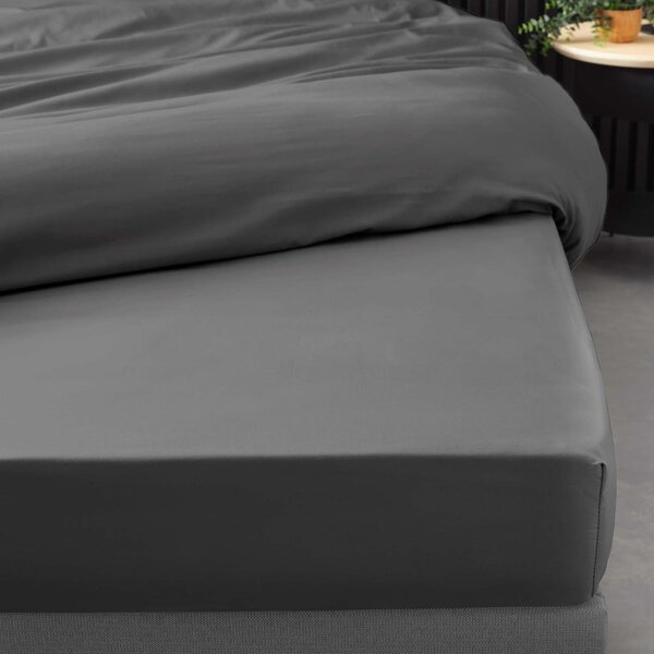 Lenzuolo in percalle di cotone elasticizzato antracite 90x190 cm Percaline - douceur d'intérieur