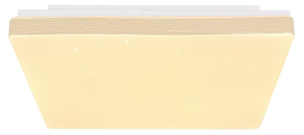 Globo 48296W - Plafoniera LED RAINA LED/12W/230V