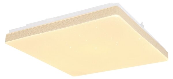 Globo 48296W - Plafoniera LED RAINA LED/12W/230V