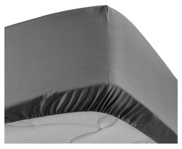 Lenzuolo in percalle di cotone elasticizzato antracite 90x190 cm Percaline - douceur d'intérieur