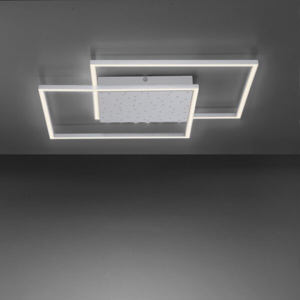 Paul Neuhaus 6024-55 - Lampadario LED dimmerabile da superficie YUKI LED/49W/230V + TC