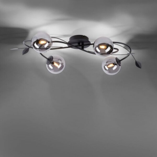 Paul Neuhaus 6724-18 - Lampadario da parete LED WIDOW 4xG9/3W/230V