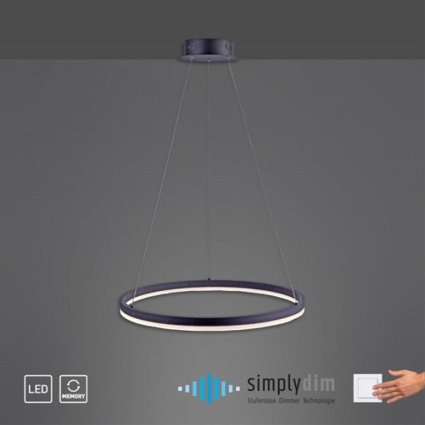 Paul Neuhaus 2382-13 - Lampadario LED dimmerabile su filo TITUS LED/38,5W/230V