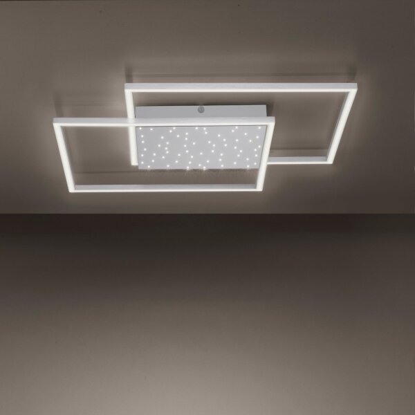 Paul Neuhaus 6024-55 - Lampadario LED dimmerabile da superficie YUKI LED/49W/230V + TC