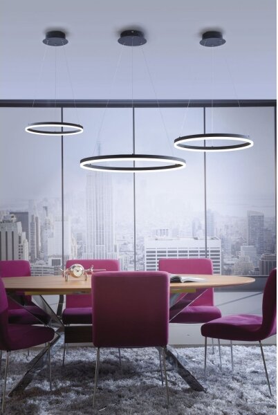 Paul Neuhaus 2381-13 - Lampadario LED dimmerabile su filo TITUS LED/28W/230V