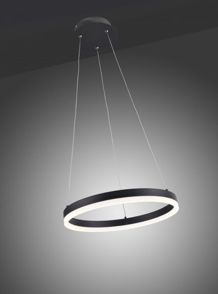 Paul Neuhaus 2381-13 - Lampadario LED dimmerabile su filo TITUS LED/28W/230V