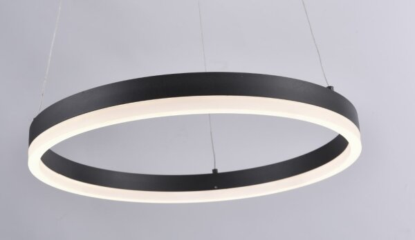 Paul Neuhaus 2381-13 - Lampadario LED dimmerabile su filo TITUS LED/28W/230V