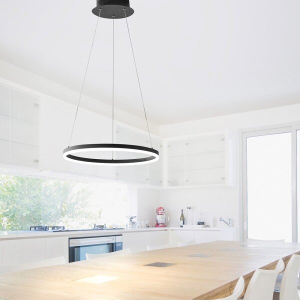 Paul Neuhaus 2381-13 - Lampadario LED dimmerabile su filo TITUS LED/28W/230V