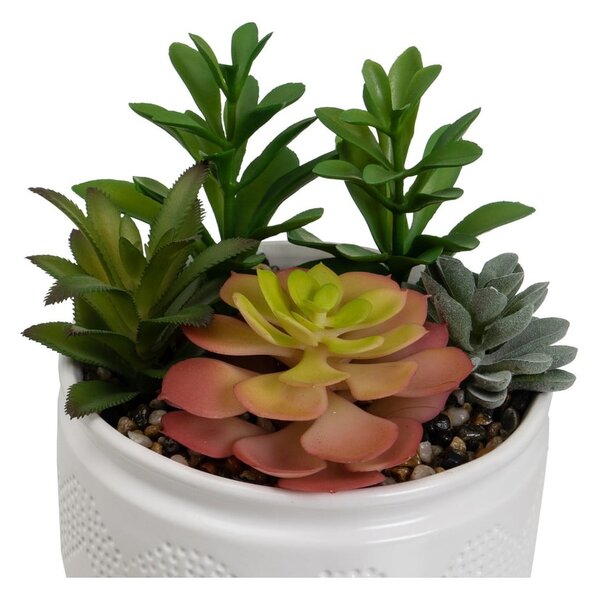 Piante artificiali in set da 2 (altezza 19 cm) Cactus - Casa Selección