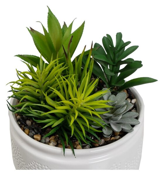Piante artificiali in set da 2 (altezza 19 cm) Cactus - Casa Selección