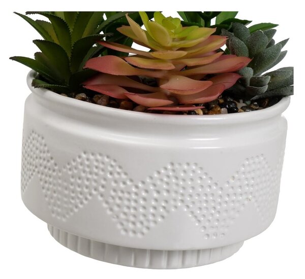 Piante artificiali in set da 2 (altezza 19 cm) Cactus - Casa Selección