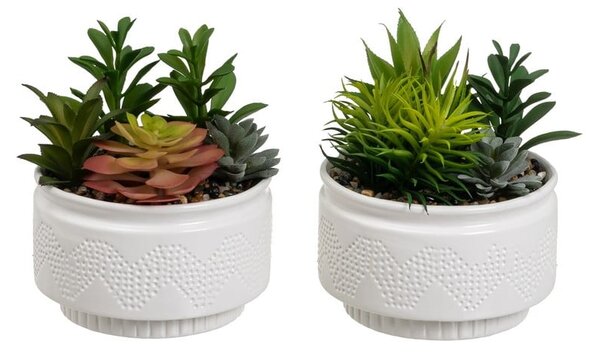 Piante artificiali in set da 2 (altezza 19 cm) Cactus - Casa Selección