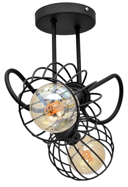 Lampadario a plafone OXFORD 2xE27/15W/230V nero