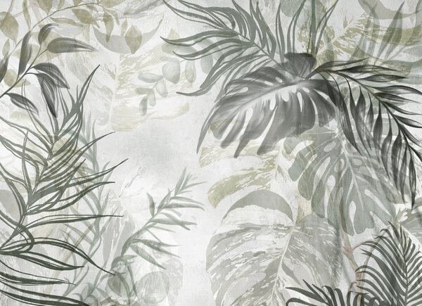 Carta da parati Monstera e foglie di palma nei toni del verde e del grigio, botanica, fogliame tropicale,, Carta da parati Natura, w09011 : Uwalls.it