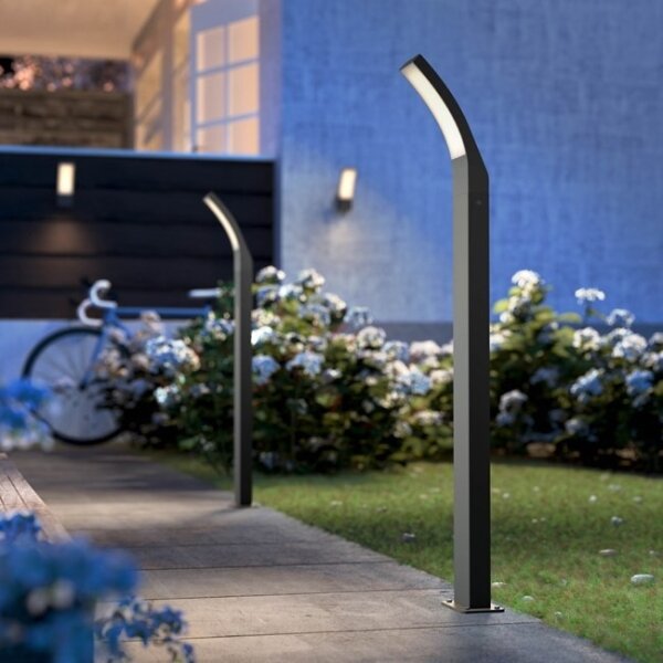 Philips - Lampada da esterno a LED SPLAY LED/12W/230V 2700K 96 cm IP44