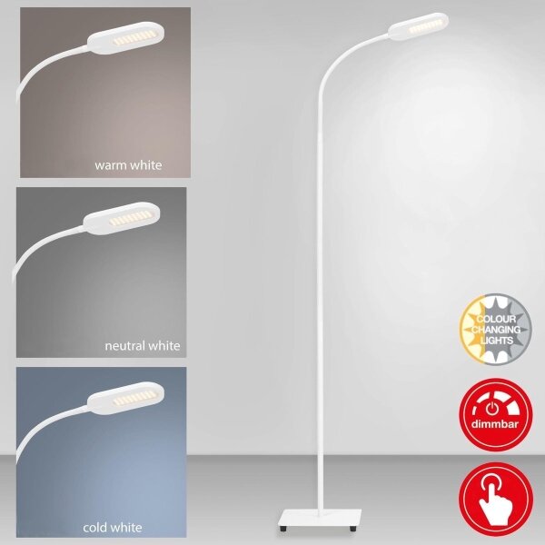 Briloner 1297-016 - Lampada da terra dimmerabile a LED LED/8W/230V