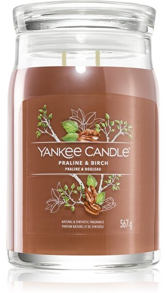 Yankee Candle Praline & Birch candela profumata 567 g