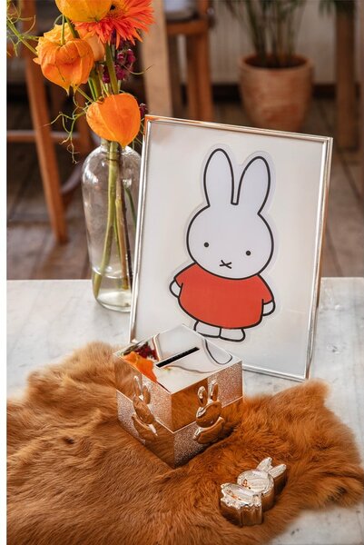 Salvadanaio Cube Miffy - Zilverstad