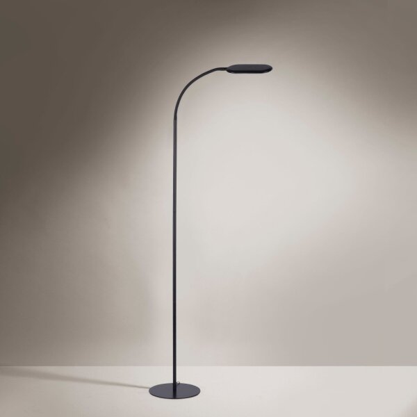 Leuchten Direkt 14406-18 - Lampada da terra dimmerabile a LED KELLY LED/7W/230V