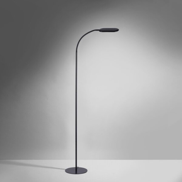 Leuchten Direkt 14406-18 - Lampada da terra dimmerabile a LED KELLY LED/7W/230V