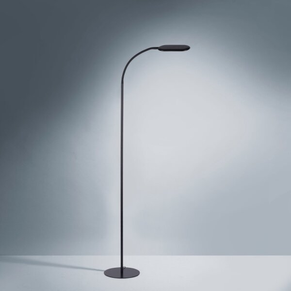 Leuchten Direkt 14406-18 - Lampada da terra dimmerabile a LED KELLY LED/7W/230V