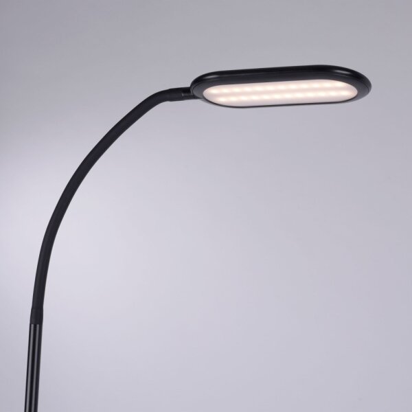 Leuchten Direkt 14406-18 - Lampada da terra dimmerabile a LED KELLY LED/7W/230V