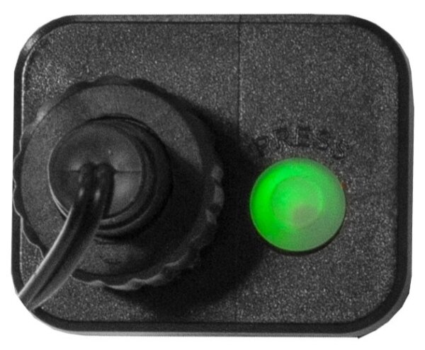 Eglo - LED Catena luminosa da esterno BERRY MINI 300 LED/8 funzioni 11 m IP44 multicolore