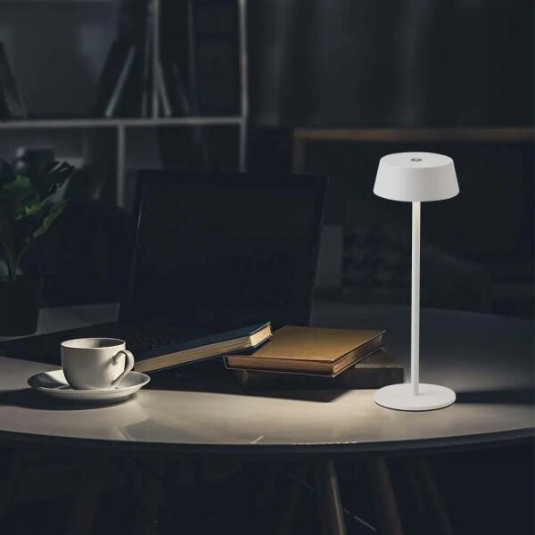 Lampada da tavolo LED da esterno dimmerabile touch LED/2W/5V IP54 bianca