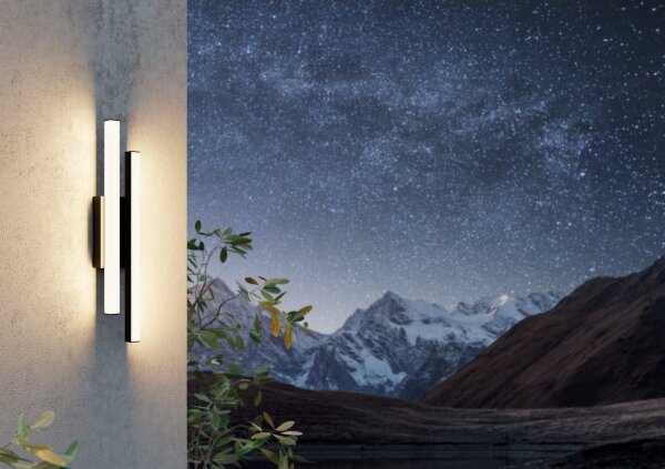 Eglo 900133 - LED Applique da esterno SARRICELLA 2xLED/4,2W/230V IP55